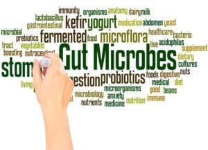 Gut Microbes